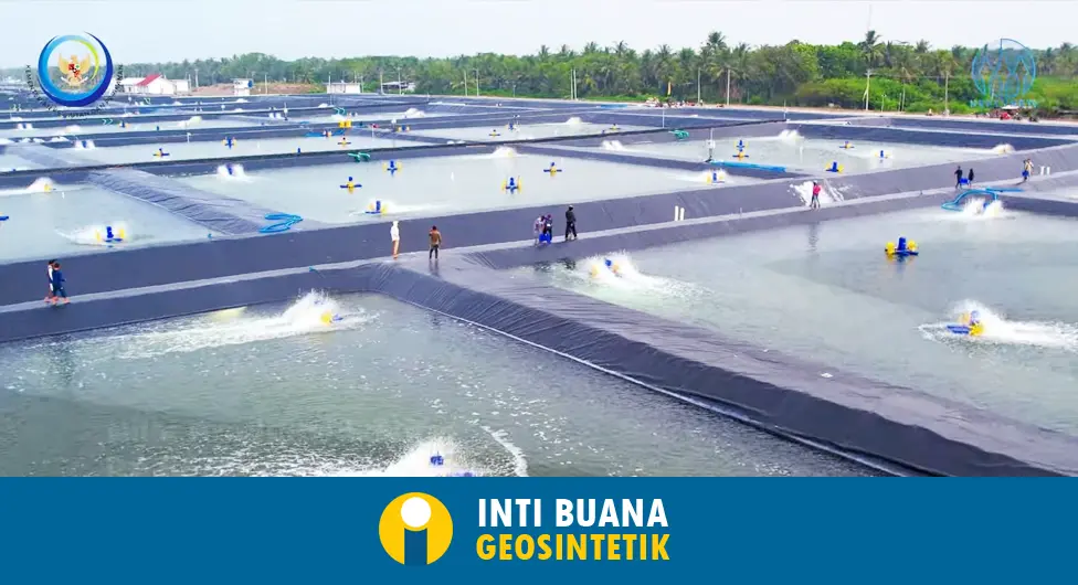 Aplikasi Geomembrane untuk Kolam Tambak Udang Vaname