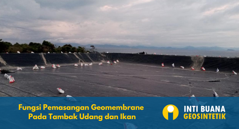 Fungsi Pemasangan Geomembrane Pada Tambak Udang dan Ikan