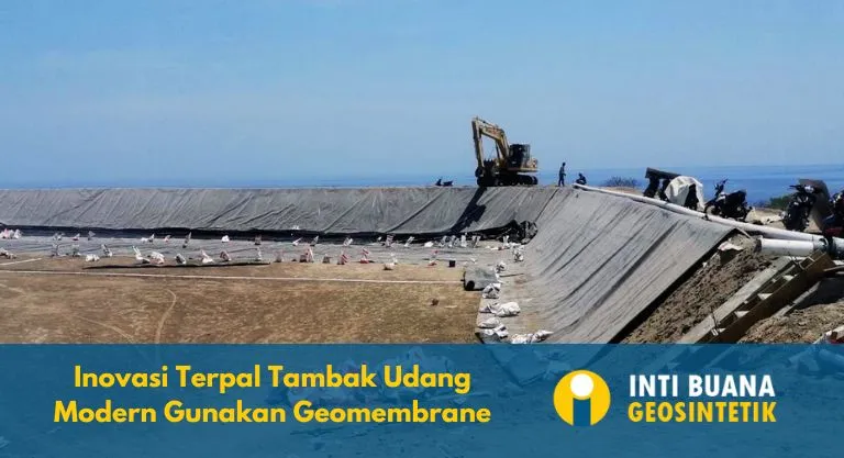 Inovasi Terpal Tambak Udang Modern Gunakan Geomembrane