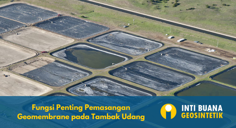 Fungsi Penting Pemasangan Geomembrane pada Tambak Udang