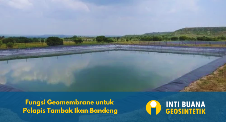 Fungsi Geomembrane untuk Pelapis Tambak Ikan Bandeng