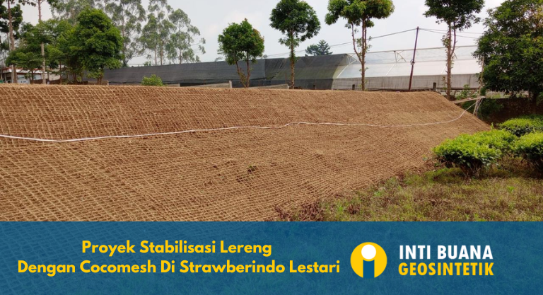 Proyek Stabilisasi Lereng dengan Cocomesh Di PT. Strawberindo Lestari