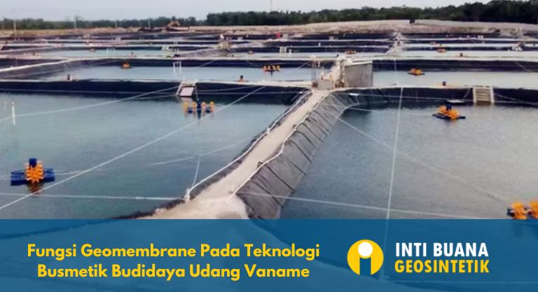 Fungsi Geomembrane Pada Teknologi Busmetik Budidaya Udang Vaname