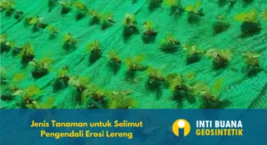 Jenis Tanaman untuk Selimut Pengendali Erosi