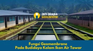Fungsi Geomembrane Pada Budidaya Kolam Ikan Air Tawar