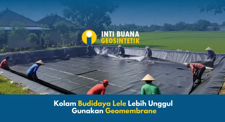 Kolam Budidaya Lele Lebih Unggul Gunakan Geomembrane