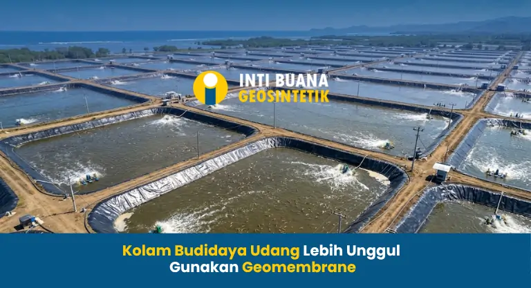 Kolam Budidaya Udang Lebih Unggul Gunakan Geomembrane