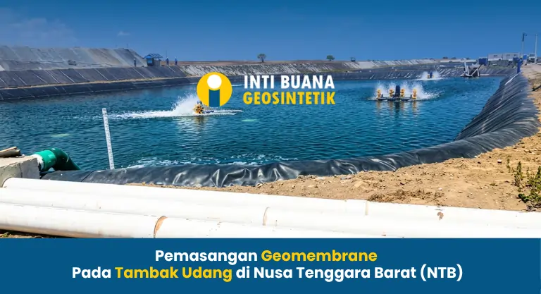 Pemasangan Geomembrane Pada Tambak Udang di NTB