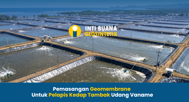 Pemasangan Geomembrane untuk Pelapis Kedap Tambak Udang Vaname