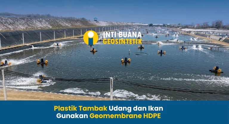 Plastik Tambak Udang dan Ikan Gunakan Geomembrane HDPE